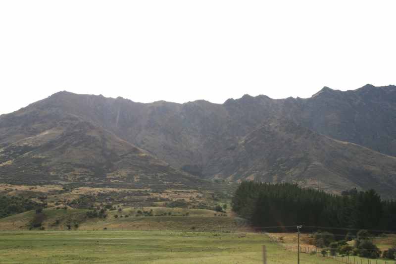 Nieuw-Zeeland 2011 - 1649